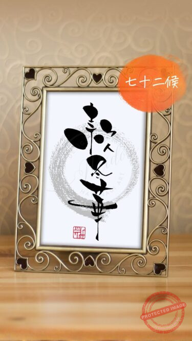 筆文字『款冬華』