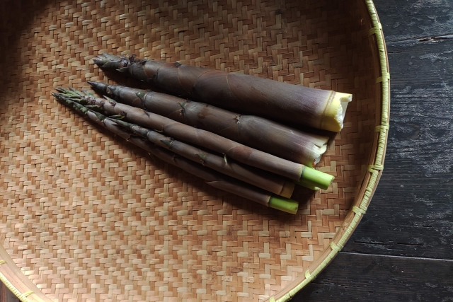 破竹・淡竹（ハチク）